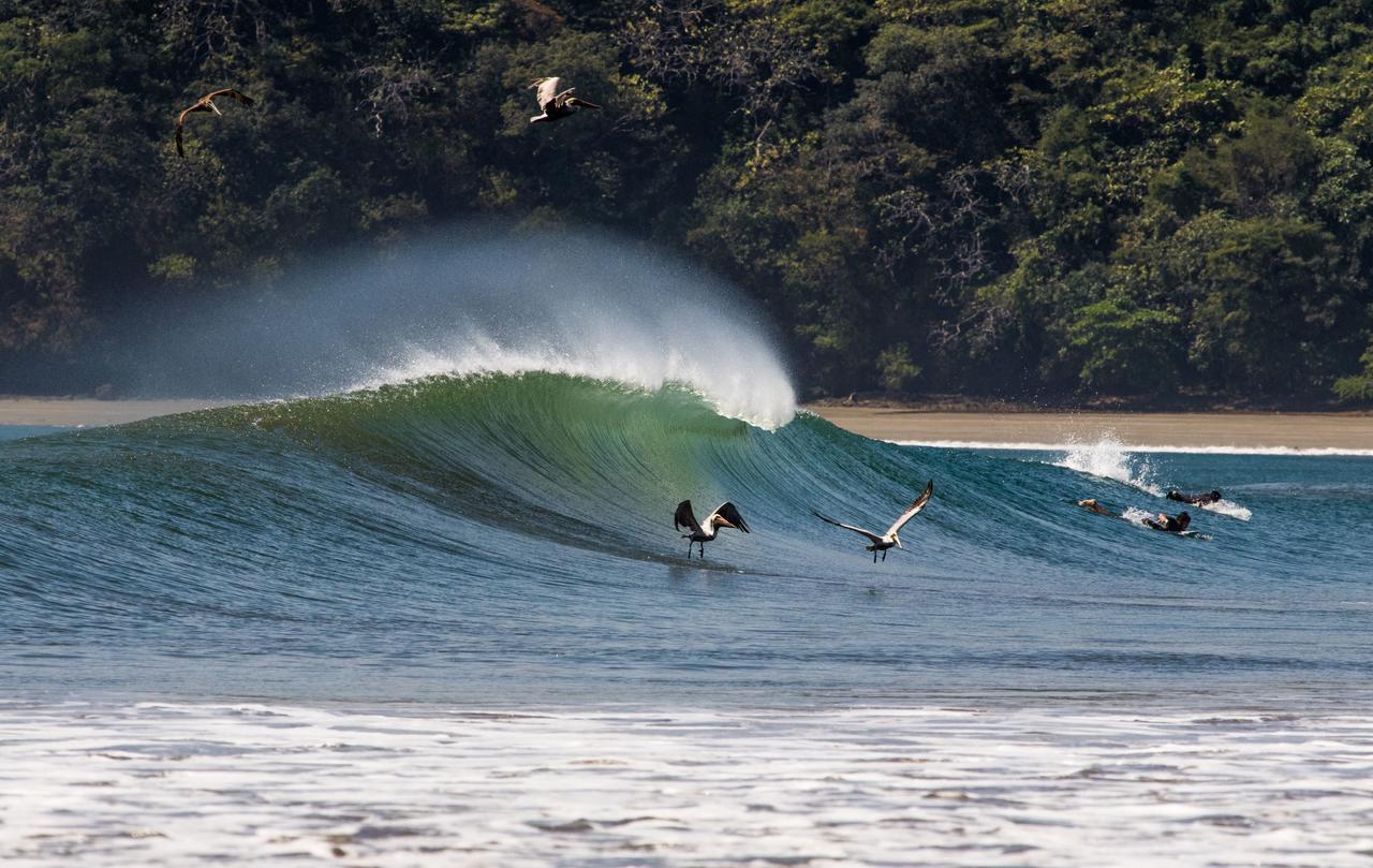 Beach Break Hotel & Surf Camp De ปลายาเวเนา ภายนอก รูปภาพ